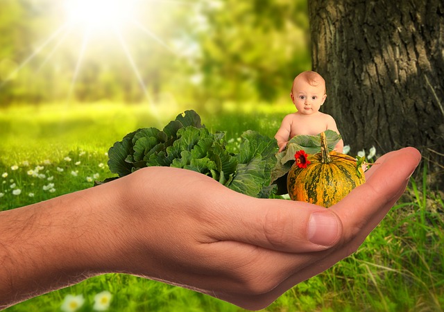 bébé légumes dans une main