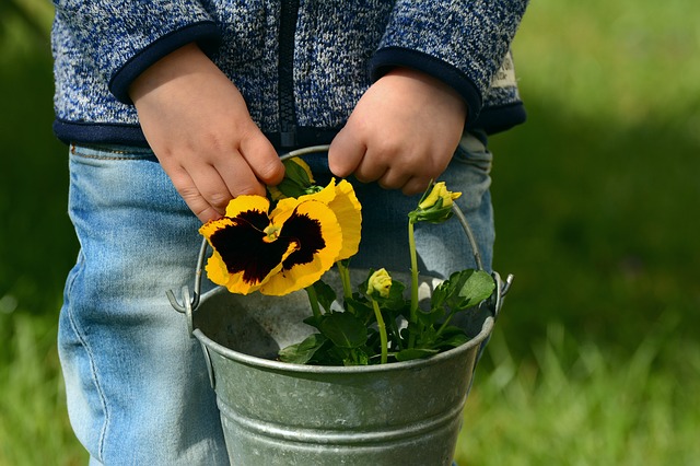 enfant fleurs seau