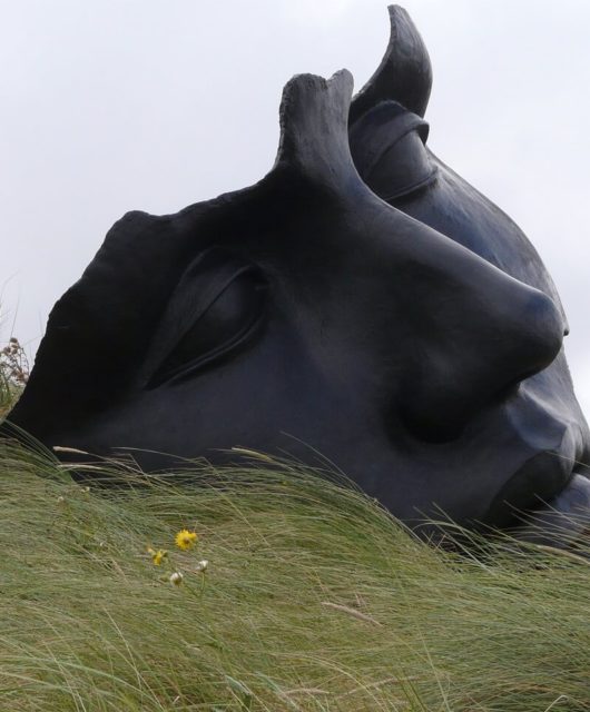 rêve visage sculpture nature