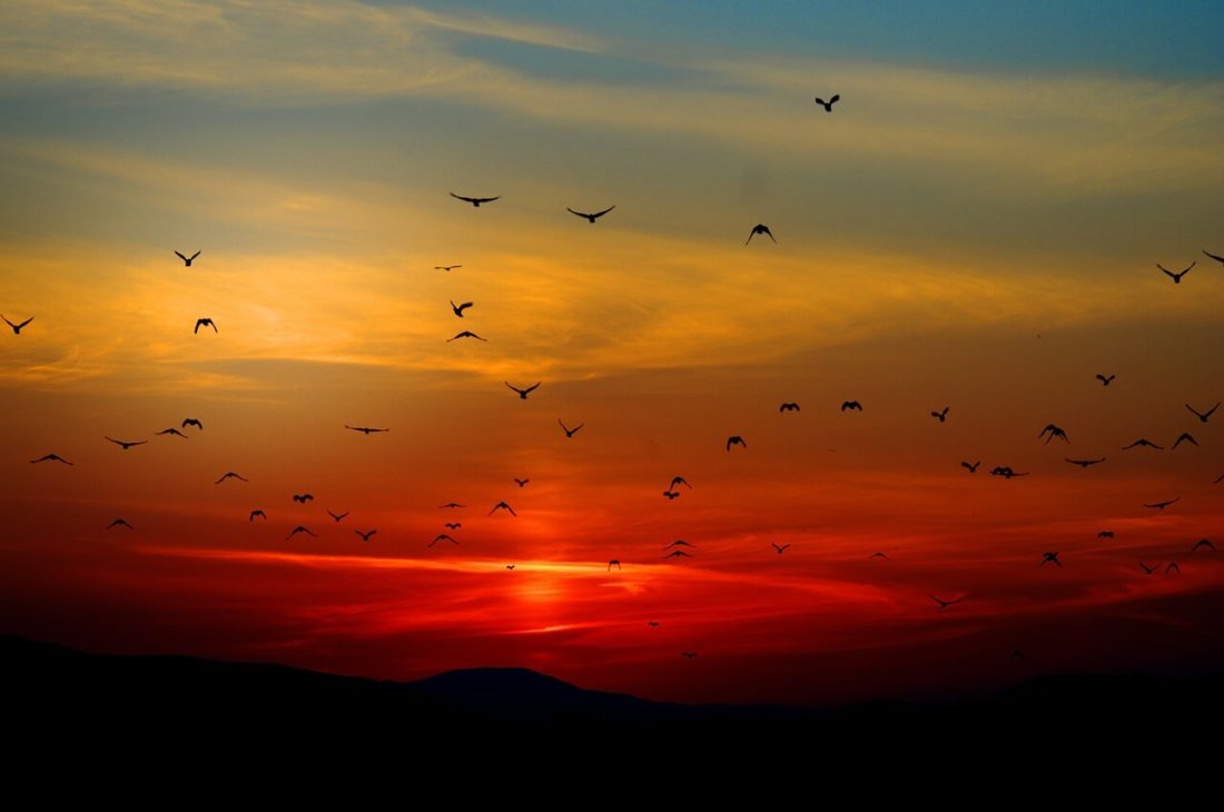 coucher de soleil nuages oi