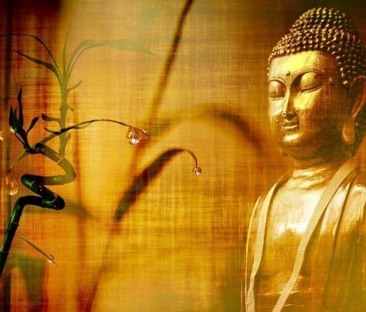 Bouddha meditation